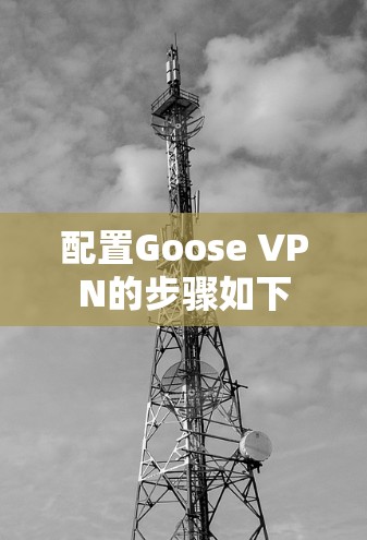 配置Goose VPN的步骤如下
