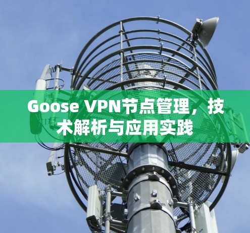 Goose VPN节点管理,技术解析与应用实践 Goose VPN节点管理,技术解析与应用实践