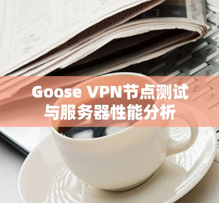 Goose VPN节点测试与服务器性能分析