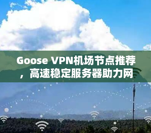 Goose VPN机场节点推荐,高速稳定服务器助力网络需求 Goose VPN机场节点推荐,高速稳定服务器助力网络需求
