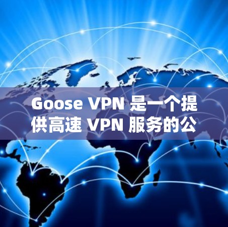 Goose VPN 是一个提供高速 VPN 服务的公司，用户可以通过其官方网站下载相关的 VPN 软件。以下是 Goose VPN 的官方网站链接