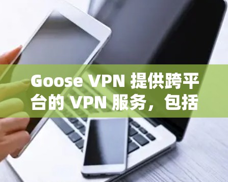 Goose VPN 提供跨平台的 VPN 服务，包括电脑、手机和平板等多种设备。用户可以通过其官网或应用商店下载相应的客户端，安装并配置。以下是关于 Goose VPN 电脑版客户端的一些详细信息