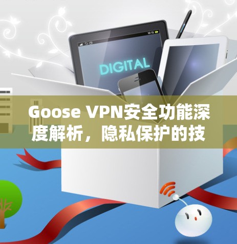 Goose VPN安全功能深度解析，隐私保护的技术要素