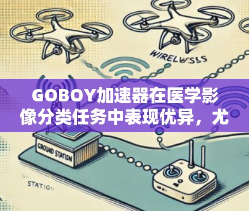 GOBOY加速器在医学影像分类任务中表现优异，尤其在肺癌筛查方面展现出高效和高准确的特点。以下是对GOBOY加速器的详细评测总结