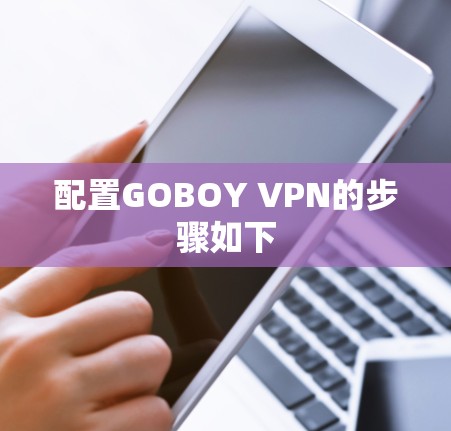 配置GOBOY VPN的步骤如下 配置GOBOY VPN的步骤如下