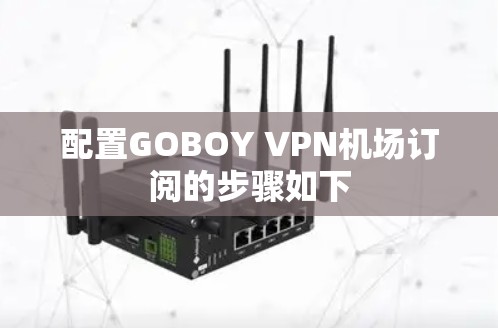 配置GOBOY VPN机场订阅的步骤如下