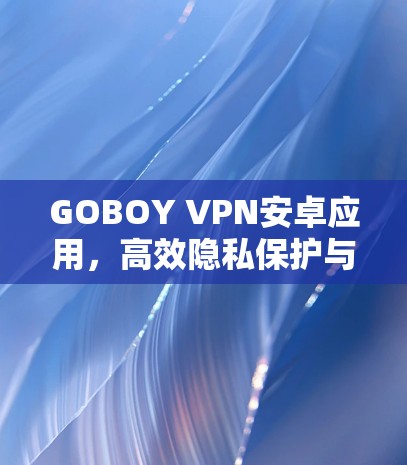 GOBOY VPN安卓应用，高效隐私保护与高速连接解决方案