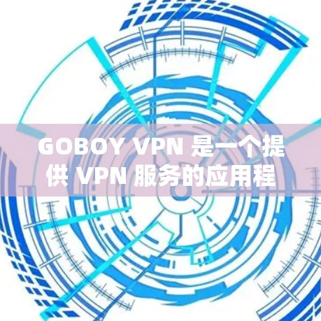 GOBOY VPN 是一个提供 VPN 服务的应用程序，用户可以通过它来加密网络连接，保护隐私和安全。以下是关于 GOBOY VPN 安卓客户端的详细说明