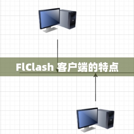 FlClash 客户端的特点