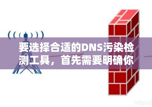 要选择合适的DNS污染检测工具，首先需要明确你的需求，包括检测的频率、环境（是否在内网还是互联网）检测的范围（单个域名还是多个域名）以及是否需要实时监控。以下是针对不同需求的推荐