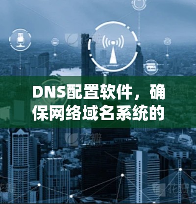 DNS配置软件，确保网络域名系统的高效管理