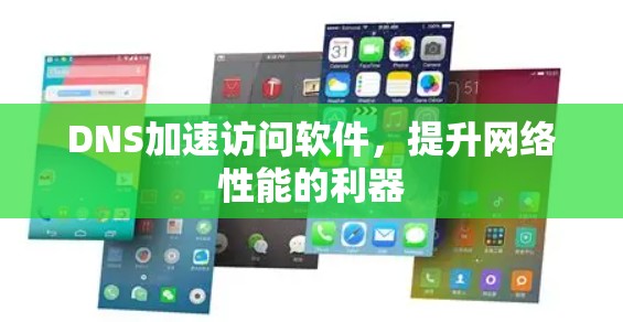 DNS加速访问软件，提升网络性能的利器