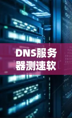 DNS服务器测速软件，功能与应用分析