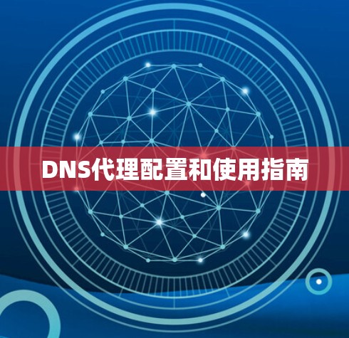 DNS代理配置和使用指南