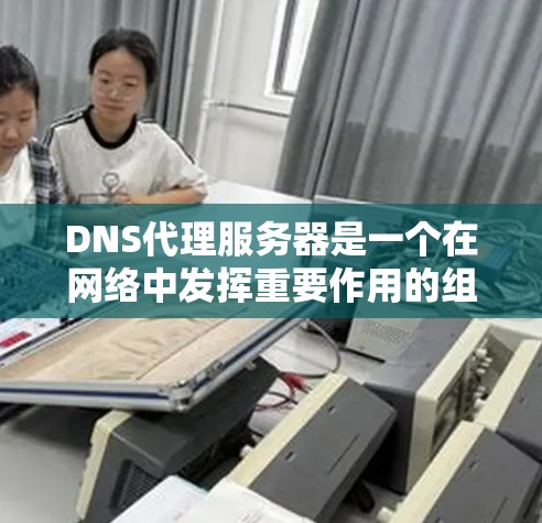 DNS代理服务器是一个在网络中发挥重要作用的组件，主要用于优化DNS解析过程，提高网络性能和稳定性。以下是对DNS代理服务器的详细分析