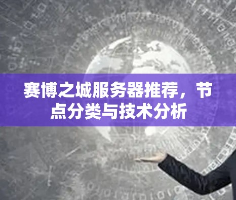 赛博之城服务器推荐，节点分类与技术分析