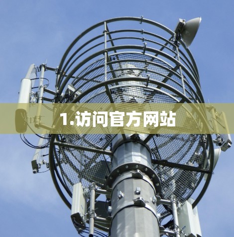 1.访问官方网站