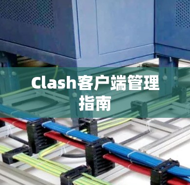 Clash客户端管理指南