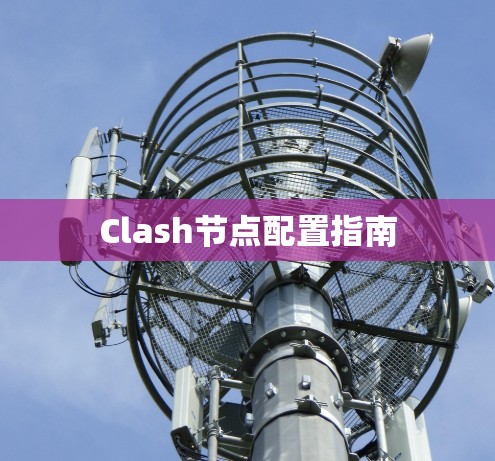 Clash节点配置指南