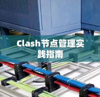 Clash节点管理实践指南