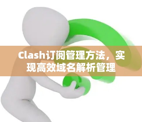 Clash订阅管理方法，实现高效域名解析管理
