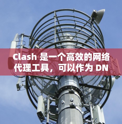 Clash 是一个高效的网络代理工具，可以作为 DNS 和 HTTP 代理来管理网络规则。以下是使用 Clash 作为 代理工具 的基本步骤和配置方法