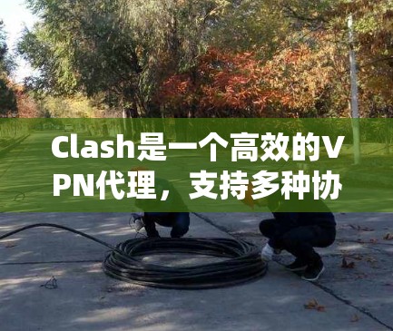 Clash是一个高效的VPN代理，支持多种协议和配置。你可能需要配置Clash的节点设置来确保VPN连接正常。以下是关于Clash VPN节点的一些常见操作和注意事项
