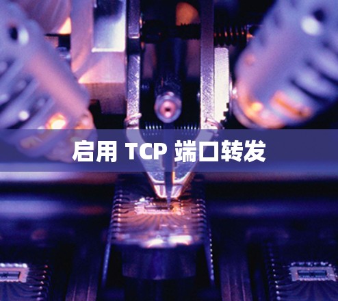 启用 TCP 端口转发