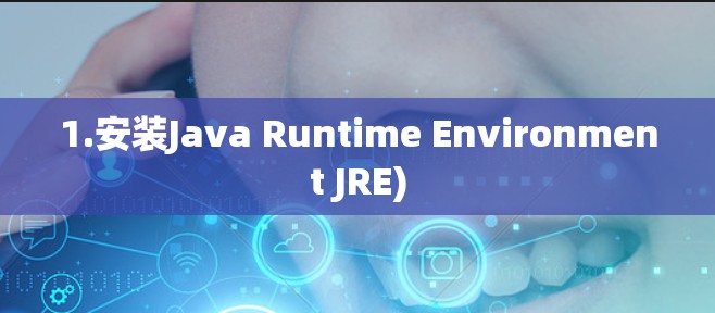 1.安装Java Runtime Environment JRE)