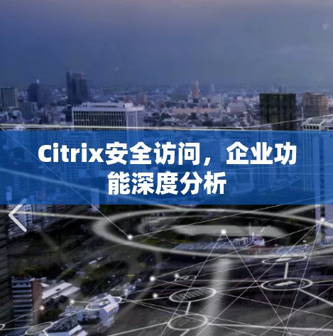 Citrix安全访问,企业功能深度分析 Citrix安全访问,企业功能深度分析