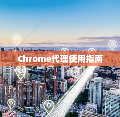 Chrome代理使用指南