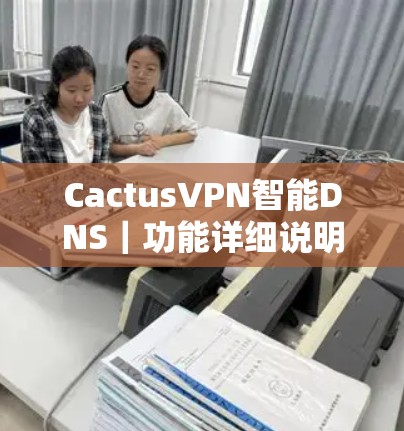 CactusVPN智能DNS|功能详细说明 CactusVPN智能DNS|功能详细说明