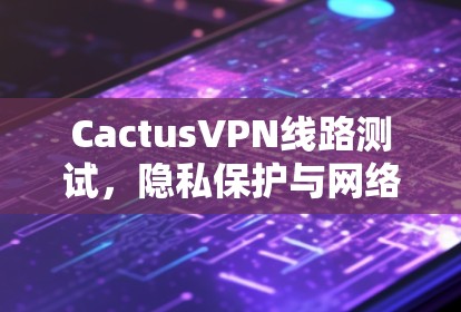 CactusVPN线路测试,隐私保护与网络安全的全面评估 CactusVPN线路测试,隐私保护与网络安全的全面评估
