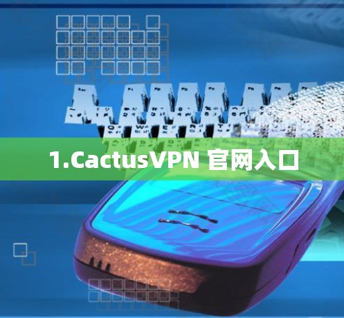 1.CactusVPN 官网入口