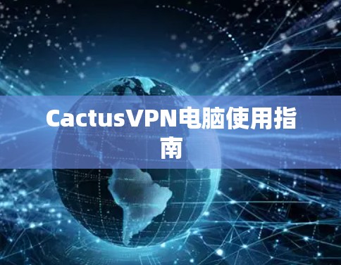 CactusVPN电脑使用指南