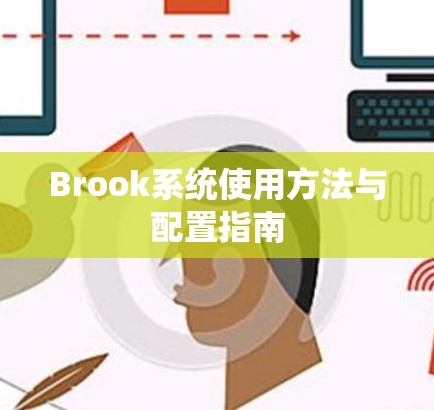Brook系统使用方法与配置指南 Brook系统使用方法与配置指南