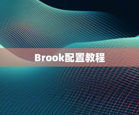 Brook配置教程