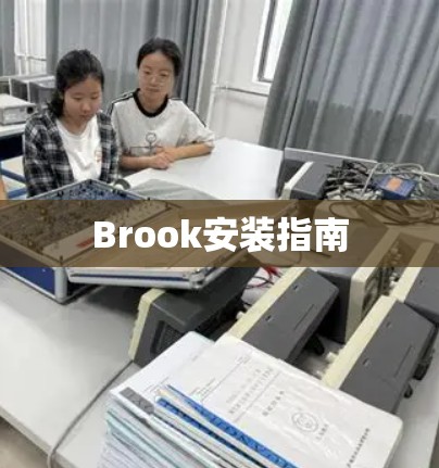 Brook安装指南