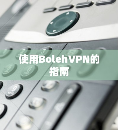 使用BolehVPN的指南