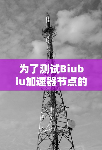 为了测试Biubiu加速器节点的性能,以下是一份详细的测试计划和步骤指南 为了测试Biubiu加速器节点的性能,以下是一份详细的测试计划和步骤指南