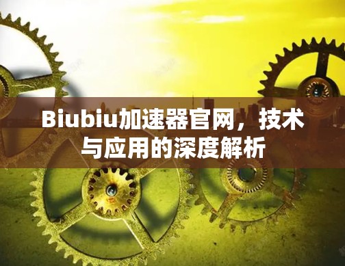 Biubiu加速器官网，技术与应用的深度解析