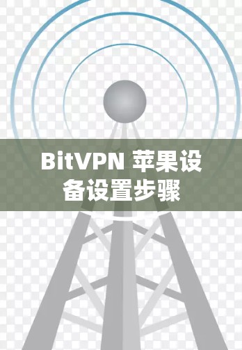BitVPN 苹果设备设置步骤