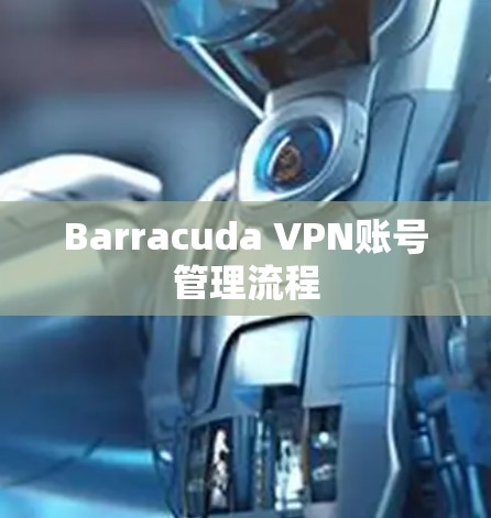Barracuda VPN账号管理流程