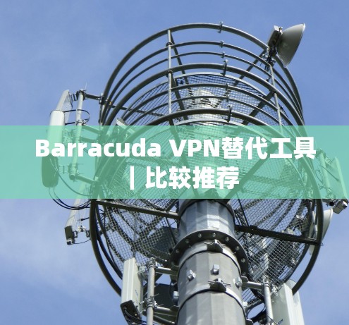Barracuda VPN替代工具｜比较推荐