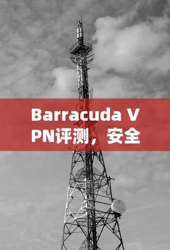 Barracuda VPN评测，安全防护实力解析
