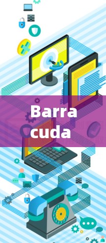Barracuda VPN连接失败的解决方案 Barracuda VPN连接失败的解决方案