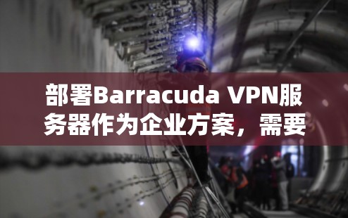 部署Barracuda VPN服务器作为企业方案，需要综合考虑公司的业务需求、安全策略和技术环境。以下是详细的步骤指南