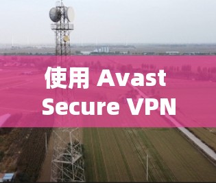 使用 Avast Secure VPN 在手机上非常简单。以下是详细的步骤指南