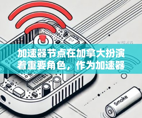 加速器节点在加拿大扮演着重要角色，作为加速器网络的关键组成部分，它们帮助高效传输和管理区块链交易信息。以下是对加拿大加速器节点的详细分析
