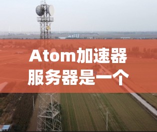 Atom加速器服务器是一个由Google开发的开源项目，旨在为多租户环境中的计算任务提供高性能加速。以下是对它的详细分析